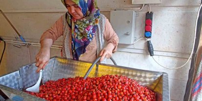 Günler süren işlem dakikalara indi: Kuşburnu marmeladı zamanı