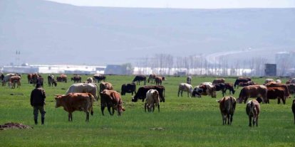 Erzurum’da kırsal kalkınmaya dev destek: 329 Projeye 171 Milyon TL hibe