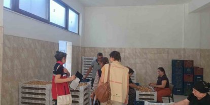 Aydın incirinin güvenilirliği için sahada titiz denetim