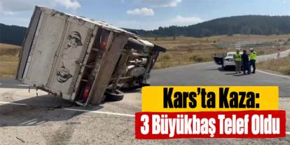 Sarıkamış’ta Hayvan Yüklü Kamyonet Devrildi