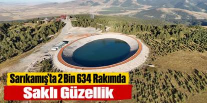 Kars’ta 2 bin 634 rakımda saklı güzellik: Sarıçamların arasında görenleri etkiliyor