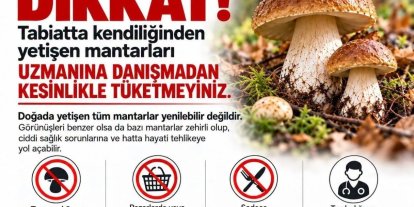 Sinop’ta mantar toplayıcılarına uyarı