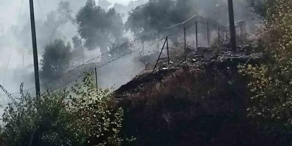Milas-Söke karayolu üzerindeki yangın büyümeden söndürüldü