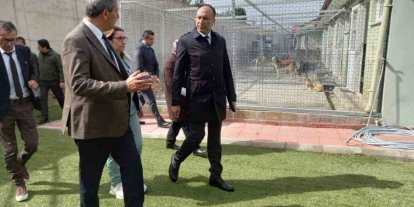 Muğla Büyükşehir Geçici Hayvan Bakım Evi’nde inceleme