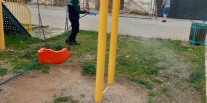 Karacasu’da yabani ot mücadelesi başladı