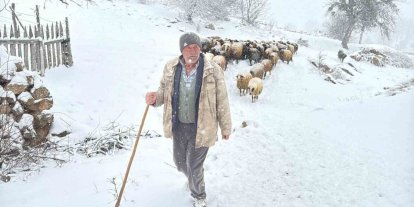 Hayvanlarını otlatmak için meraya çıkan çobanlara kar sürprizi