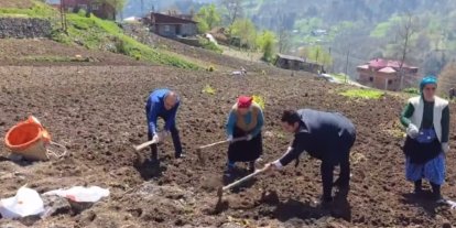 Kaymakam ve belediye başkanı tarlaya girdi, izleyenleri tebessüm ettiren anlar ortaya çıktı