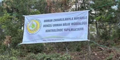 Denizli’de ağaçları kurutan böceklerle mücadele başlatıldı