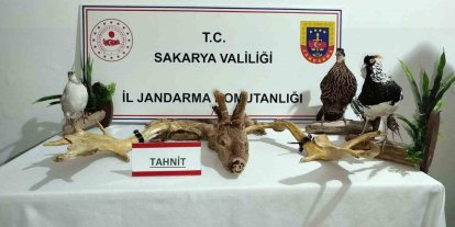 Hayvanat bahçesi gibi ev: Evinden çıkanlar hayrete düşürdü
