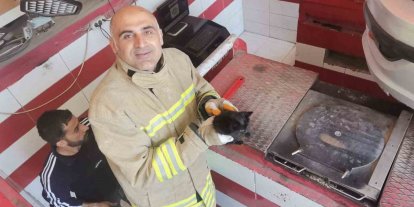 Mardin’de otomobilin motor bölümüne sıkışan yavru kedi kurtarıldı