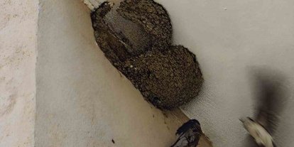 Ayağı takılarak askıda kalan kırlangıcın imdadına itfaiye yetişti