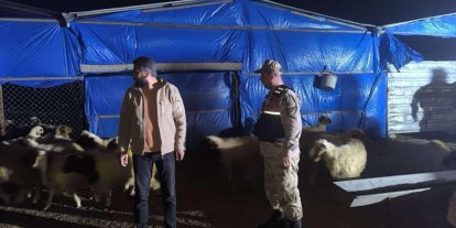 Kilis İl Jandarma Komutanlığı kayıp küçükbaş hayvanları buldu