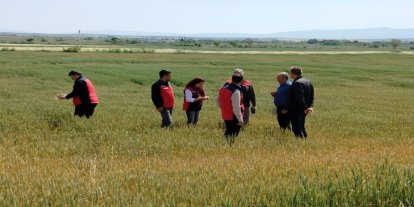 Çanakkale’de üreticilerin ekili dikili alanlarında saha incelemesi yapıldı