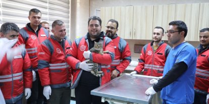 Kocasinan Belediyesi’nden veterinerlik personeline sertifikalı eğitim