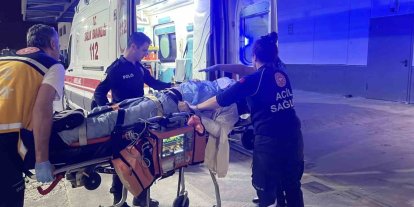 Ağaca çarpan otomobilin sürücüsü ağır yaralandı