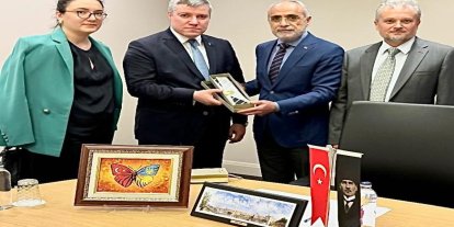 Cumhurbaşkanı Başdanışmanı Topçu: "Hindistan’ın Pakistan’a yaptığı bu kışkırtıcı saldırısını kınıyoruz"