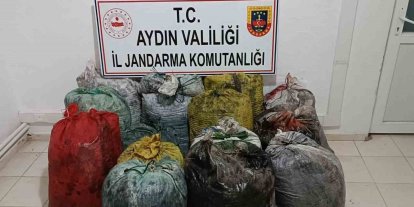İzinsiz zeytin toplayan 11 şüpheli yakalandı