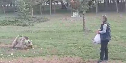 Çemşit ismini verdiği bozayıyı besledi, eşi kayıt altına aldı