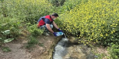 Çanakkale’de çeltik ekim alanlarında sivrisinek mücadelesi başladı