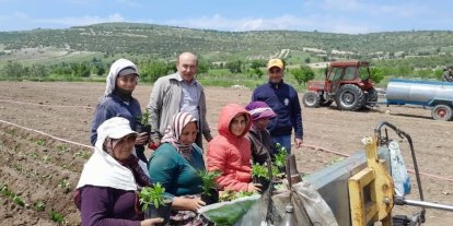 Selendi CHP tarlada çalışan anneleri yalnız bırakmadı