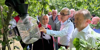 Kahverengi Kokarca için 145 tuzak asıldı