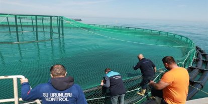 Trabzon’da denizdeki balık kafeslerine denetim