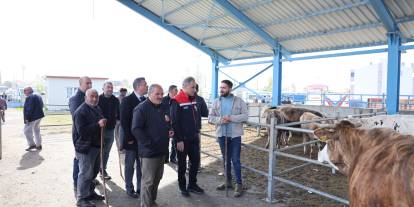 Kurban Bayramı Öncesi Selim Hayvan Pazarı’nda Sıkı Denetim