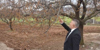 Sadıkoğlu: "Verilecek destekler sadece kayısıyı değil, şehrimizin geleceğini ilgilendiriyor"