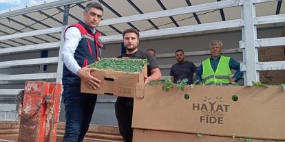 ‘Domates Yetiştiriciliğinin Geliştirilmesi’ projesi sürüyor