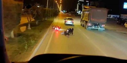 Yola savrulan 2 kişiye aldırış etmeyen sürücü arkasına bile bakmadı,  o anlar kamerada