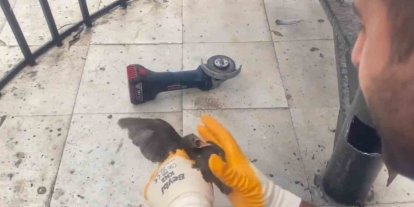 Şanlıurfa’da demir boruya sıkışan kırlangıç kurtarıldı