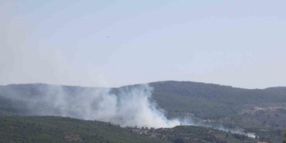 Menteşe’de çıkan yangın kontrol altına alındı