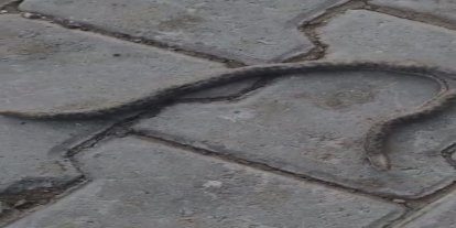 Elazığ’da çift başlı yılan tedirgin etti