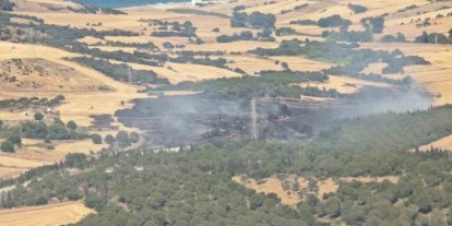 Çanakkale’de tarım arazisinde başlayıp ormana sıçrayan yangın kontrol altına alındı