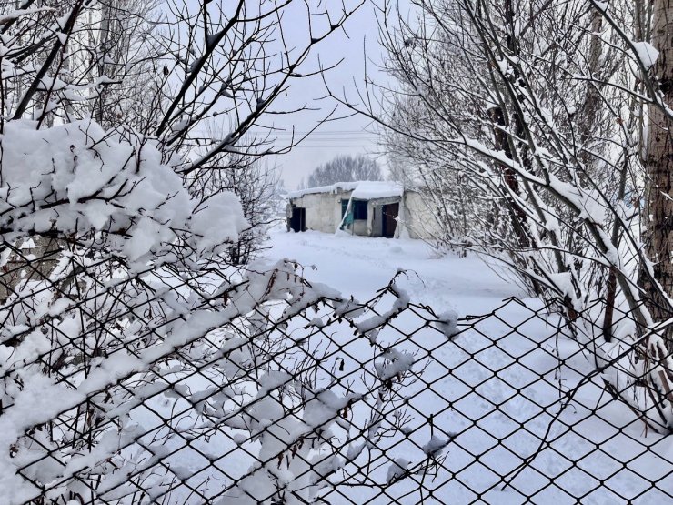 Ağrı’da 321 köy yolu kar nedeniyle ulaşıma kapandı