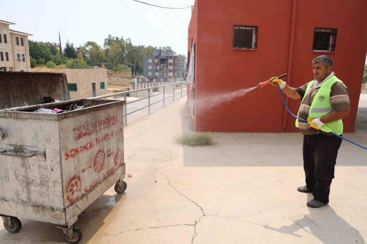 Başkan Yılmaz: "Narenciyeye büyük zarar veren Akdeniz meyve sineği ile mücadele ediyoruz"