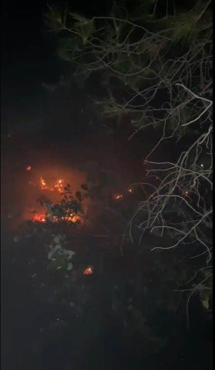 Muğla Menteşe’deki orman yangını kontrol altına alındı