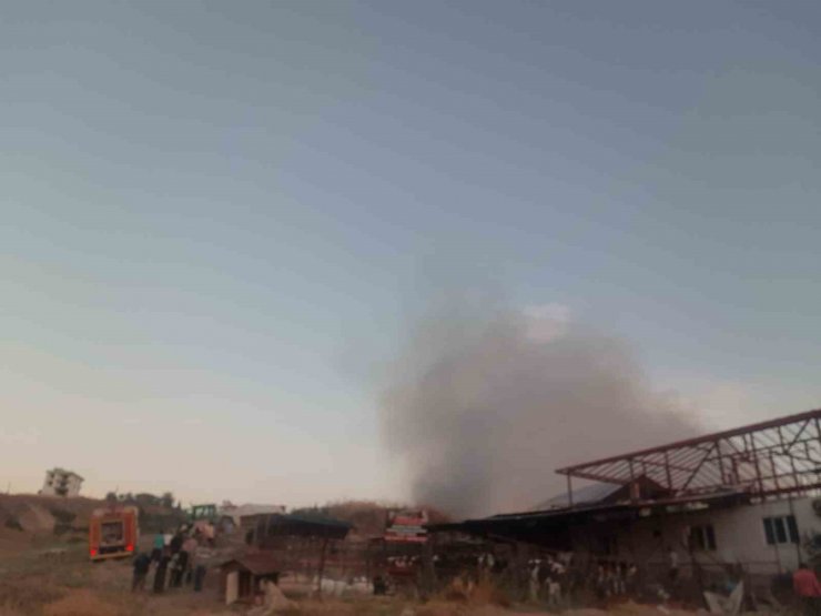 Çiftlikteki samanlar alev alev yandı, çok sayıda hayvan son anda kurtarıldı