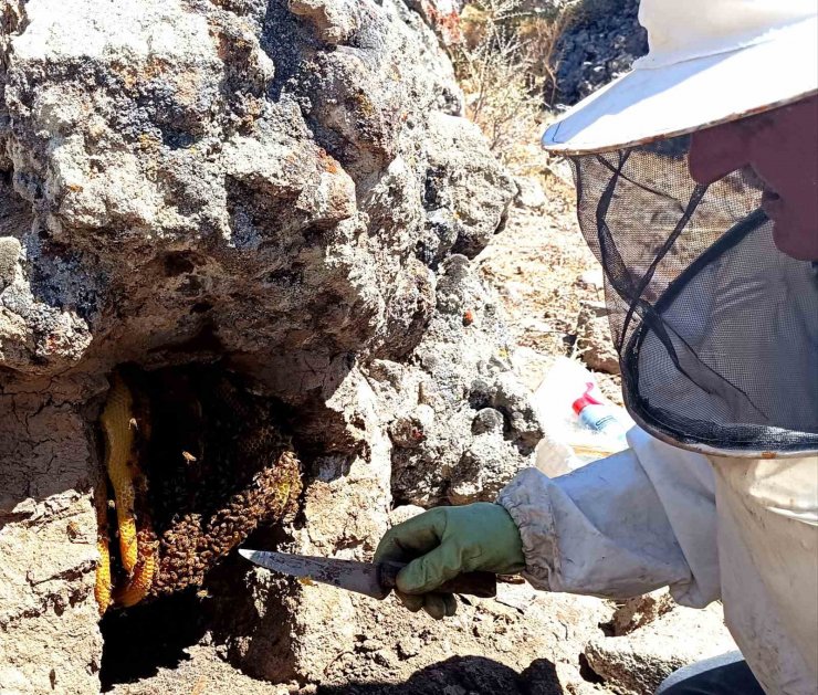 Dedesinden öğrendiği yöntemle balı ’taş’tan çıkarıyor
