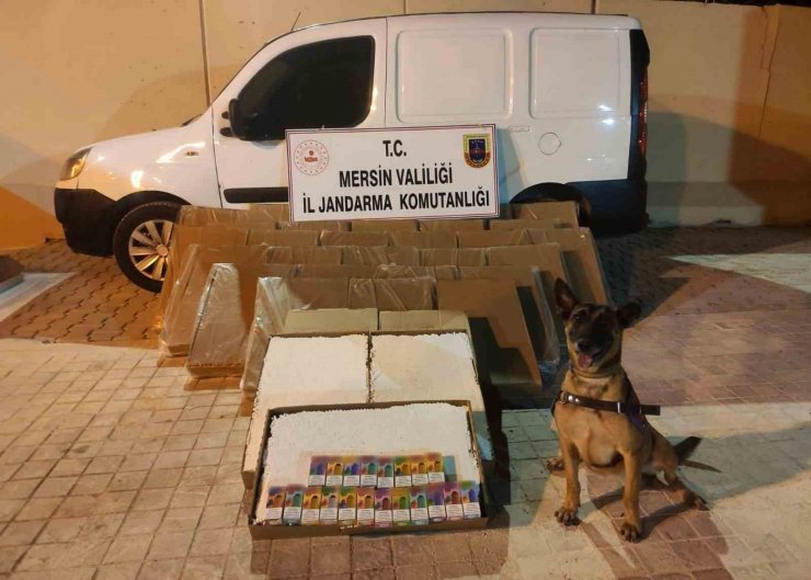 Mersin’de 161 bin 200 kaçak makaron ele geçirildi