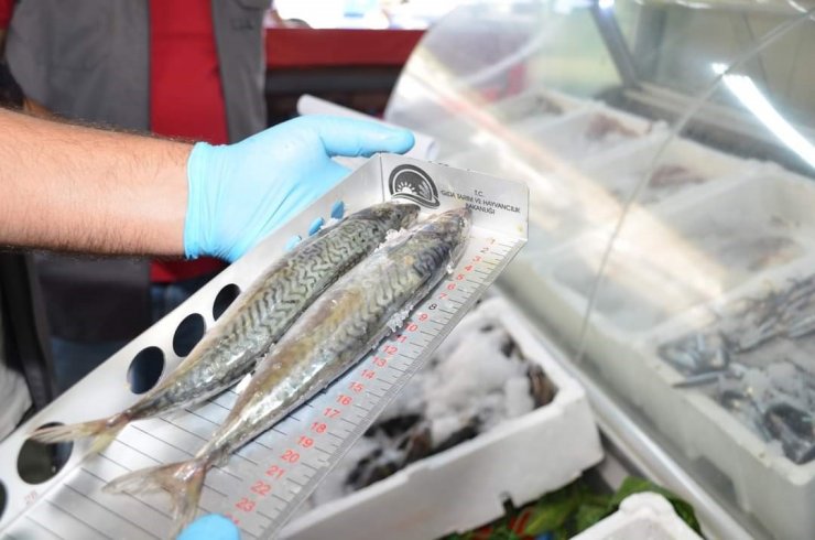 Niğde’de Perakende Balık Satışı Yapan Yerler Denetlendi