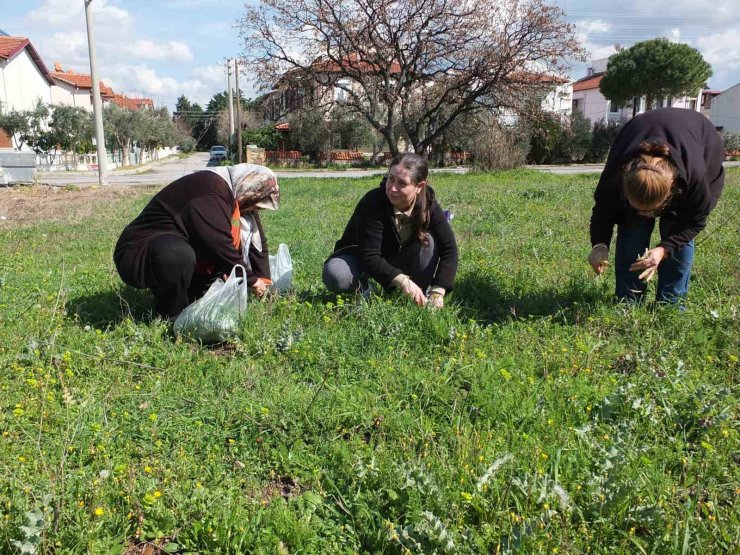 Balıkesir’de ot festivali düzenlenmesi istediler