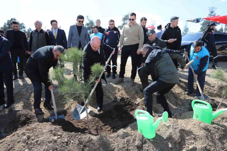 Denizli’de 14 lokasyonda 6 bin 100 adet fidan toprakla buluştu