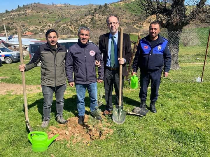 Sarıgöl’de 400 fıstık çamı toprakla buluştu