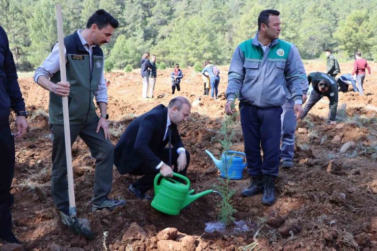 Orman Haftası’nda Köyceğiz’de fidan dağıtımı ve dikimi yapıldı