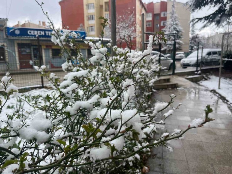 Eskişehir kent merkezinde kar yağışı etkili oldu