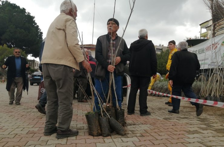 Mersin’de 6 bin fidan ücretsiz dağıtıldı