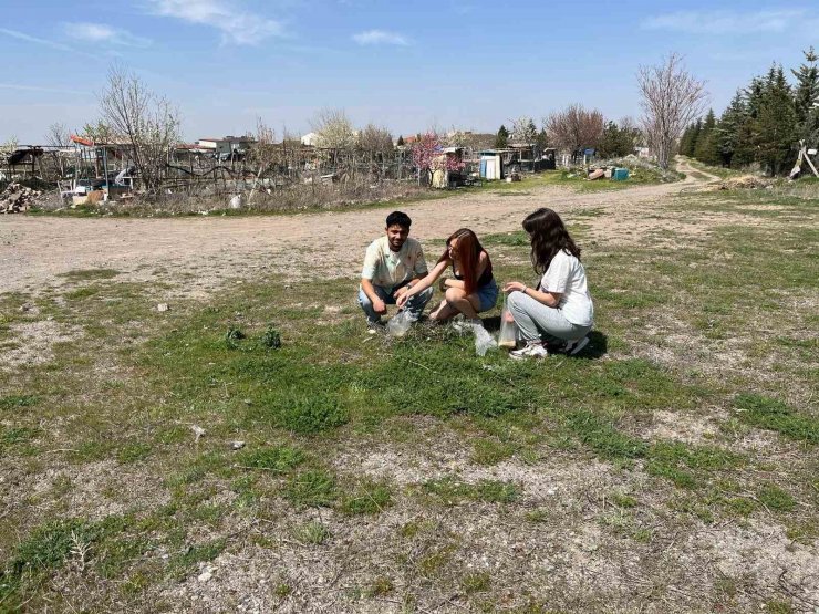 ERÜ’de kampüsün simgesi ‘Gelengiler’ uyandı