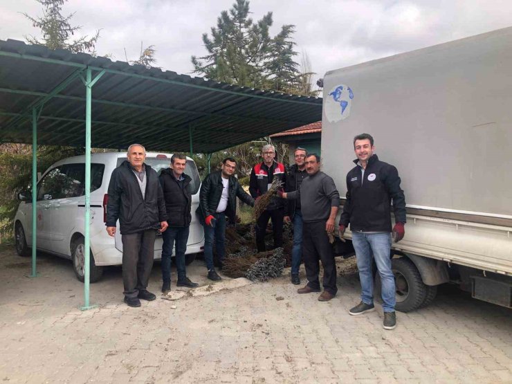 Günyüzü’nde üzüm projesi hayata geçti