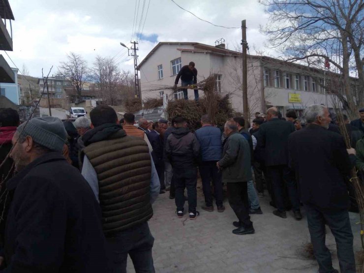 Özalp’ta çiftçilere meyve fidanı dağıtımı